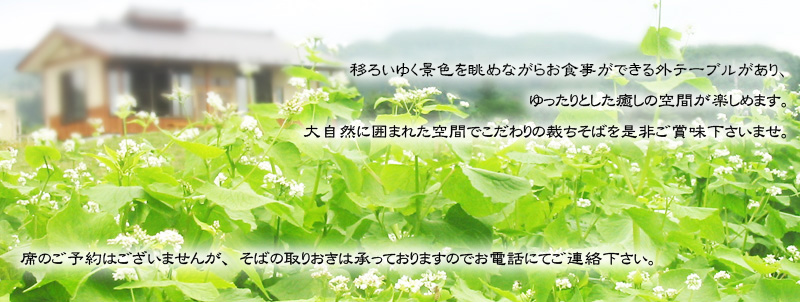 大自然に囲まれた空間でこだわりの裁ちそばを是非ご賞味下さいませ。